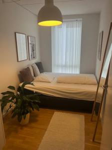 Amsterdam in Copenhagen