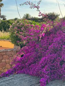 Casa Vacanze Calarossa img20