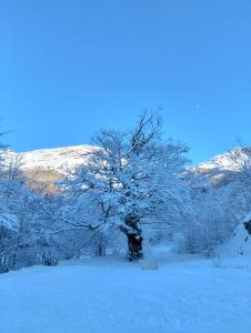 Eco Home - Val di Luce