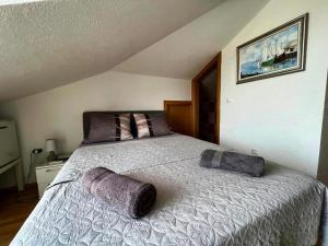 Room in Zaton Zadar with sea view, terrace, WiFi, washing machine 4141-6