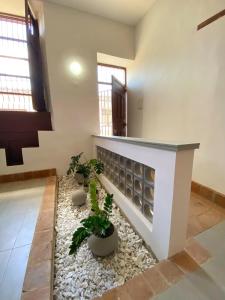 Apartamento VIP en Buga