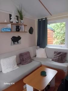 Mobil Home tout confort