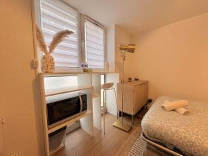 Donissan - Studio 1 Canapé-Lit 1 Salle de Bain