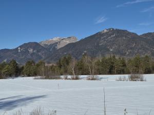 Apartment Wohnung Garten 2 Seeblick by Interhome