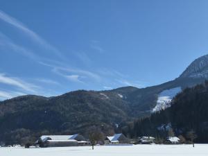 Apartment Seethurn-4 by Interhome