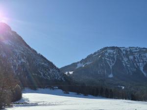 Apartment Wohnung 306 Berglick by Interhome