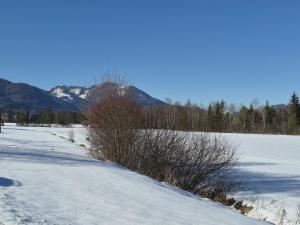 Apartment Wohnung 306 Berglick by Interhome