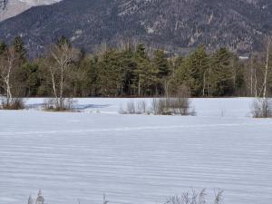 Apartment Wohnung 306 Berglick by Interhome