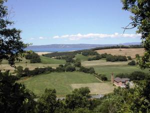 Collina delle Rose