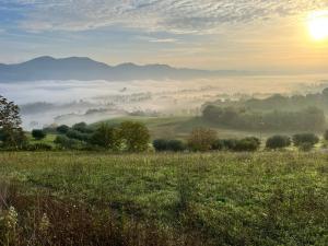 Residenza Castelnovo