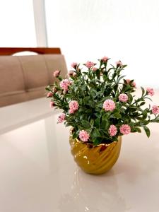 Mirante Condominio Clube