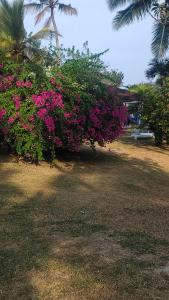 Rocky Point Beach Resort