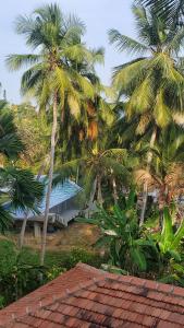 Rocky Point Beach Resort