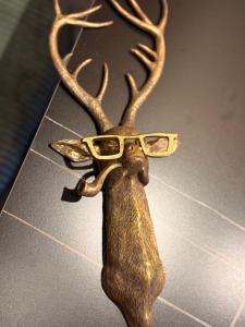 Sohana Chalet I Design I Apartment and Guest Rooms I Sauna I AC