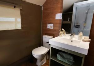 ZEcamping 3 dog friendly salle fitness piscine