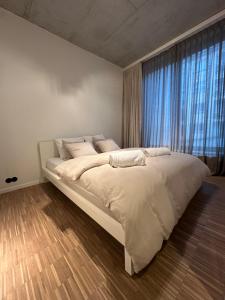 Luxury apartment with a view of the MAS