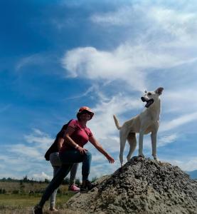 Glamping Claro de Luna