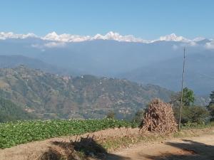 Golden lotus wellness retreat