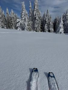 Apartmán Vlčice Residence 107, Pec pod Sněžkou