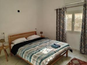 The Palm Circle - Dahab - Studio 2