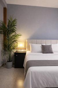 Suite privada, Zona consulado