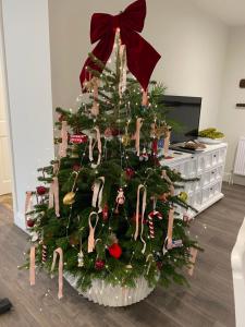 The Pelican Room-converted Cart Lodge near airport