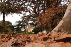 House in Estancia - Perfect for groups