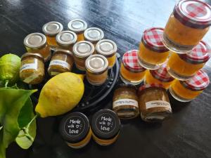 Le Citrus - Séjour cosy en plein centre historique