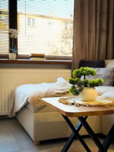 Apartament City Break 1, promenada przy jeziorze
