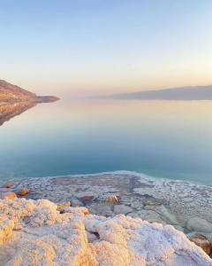 Tala DeadSea Villa