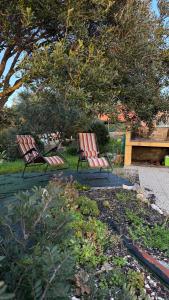 Appartamento Torre 82 img6