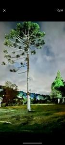 Lindo sitio com 5 quartos em São Roque