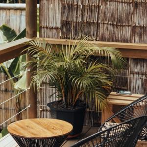 Cabaña Glamping San Carlos Antioquía Pun chinaw Ecocabañas