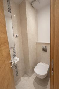 Libertina Rafailovici