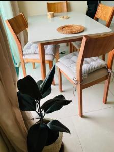 Studio perto da praia conforto e praticidade