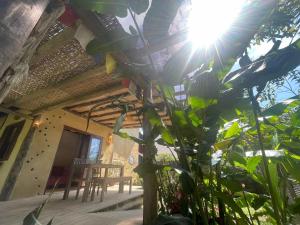 Casa Bromélia - Bioconstrução em Ubatuba