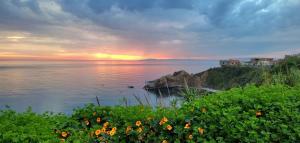 Appartement T3 Alger