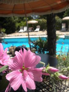 Maisons de vacances Gites Climatises Piscine Chauffee La Balancelle : photos des chambres