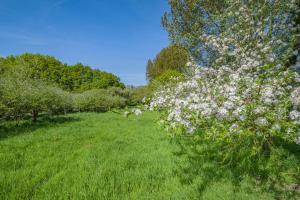 1 Bed in Burnham Overy Town oc-o31908