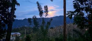 Gaharu glamping park