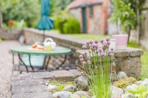 1 Bed in Knapton oc-k32395