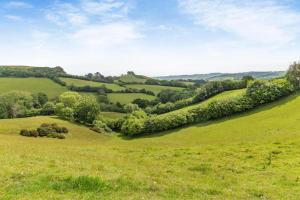 2 Bed in Stoke Abbott oc-r31870