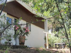 Charmante villa 60s à 50m de la plage, grand jardin - FR-1-736-74