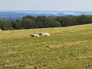 1 Bed in Creech oc-g29728