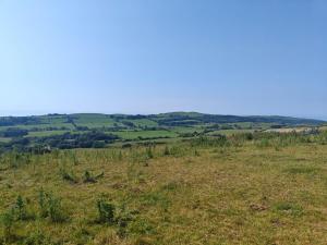 1 Bed in Creech oc-g29728