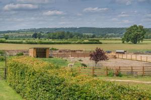 3 Bed in Cawton oc-t32407