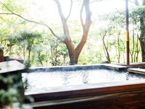 Kirishima Momijidani Seiryuso - Vacation STAY 62931v