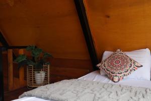 Cabin Linggayoni dieng