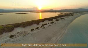 Il Fenicottero img14