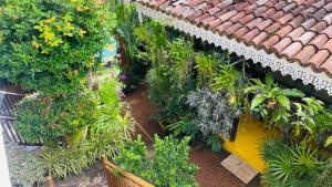Bouganvilla House